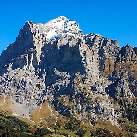 Bluemlisalp Otel Grindelwald